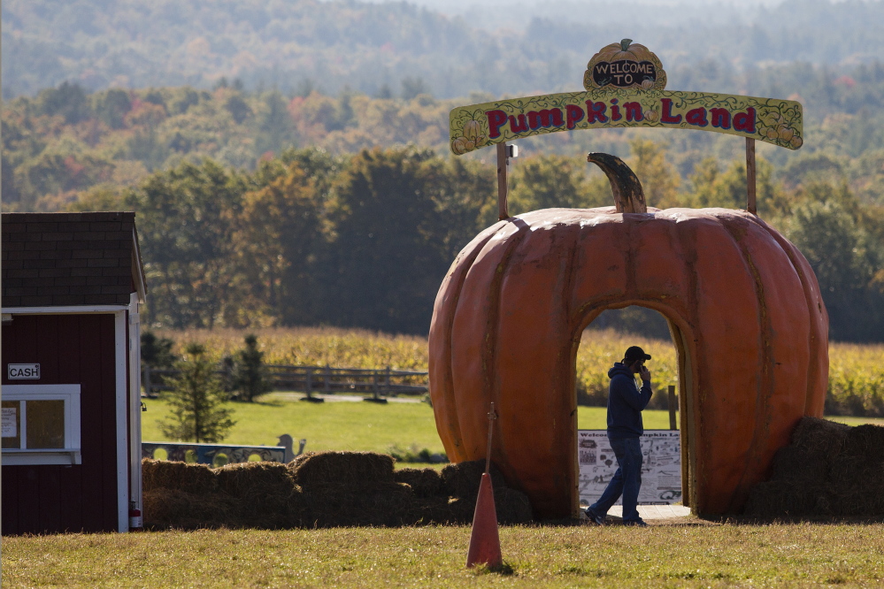 A man is silhouetted against the cutout of a pumpkin as he talks on his cell phone at Harvest Hill Farms in Mechanic Falls on Route 126 on Sunday, the morning after a hayride accident killed a 17-year-old girl.
