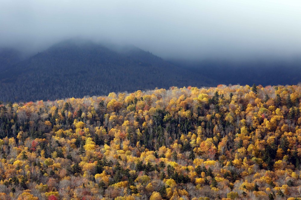 The sun shines on the changing foliage along the Kancamagus Highway in Lincoln, N.H., in New Hampshire’s White Mountains. Officials say tourists will spend upwards of $1 billion to catch a glimpse of the red, yellow and orange hues on the trees, and the windfall is steadily rising as the economy regains strength.