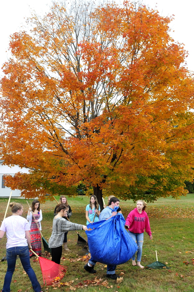Carrabec High School students including Peter Mouland, carrying the tarp, gather leaves on Wednesday as part of a community service project.