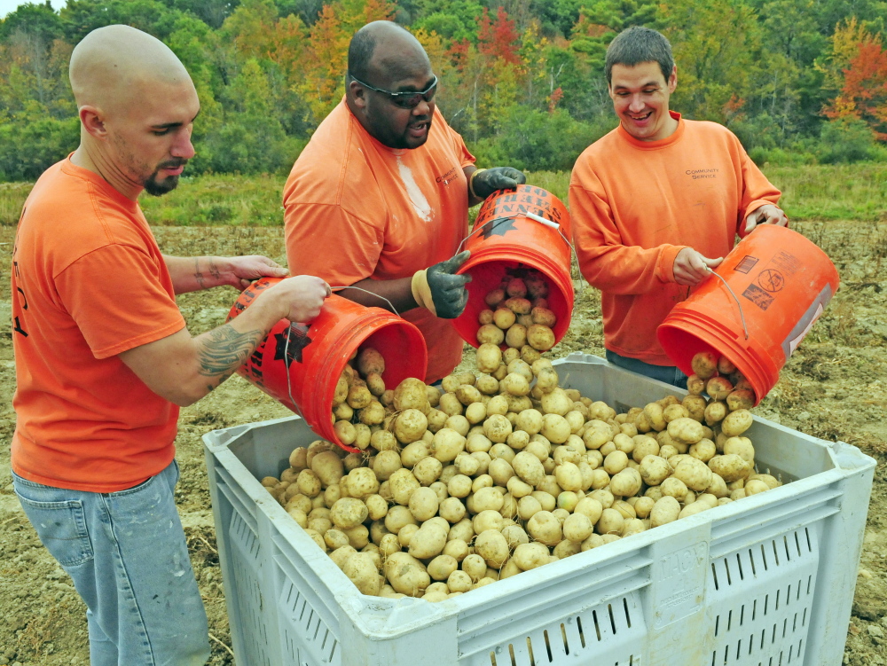 Joe Phelan/Staff Photographer
Inmates delivered hundred of pounds of squash to the Cohen Center in Hallowell. Kitchen staff at the center will peel, chop and freeze the squash, which will be used in schools.