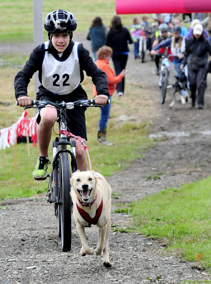 Asa Szegvari and his dog Shiva take off at the start of one of the wheeled dog sledding races at the Central Maine Dryland Challenge at the Quarry Road Recreation Center in Waterville on Sunday.