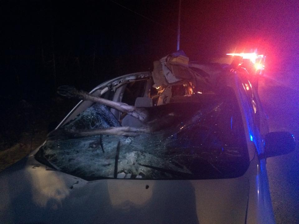 Mark Forino of Presque Isle, was unable to avoid a moose and struck it, killing it.  The moose crashed through the windshield into the passenger compartment of a 2006 Toyota Sienna van, narrowly missing Forino Sunday night. Contributed photo by the Maine State Police.