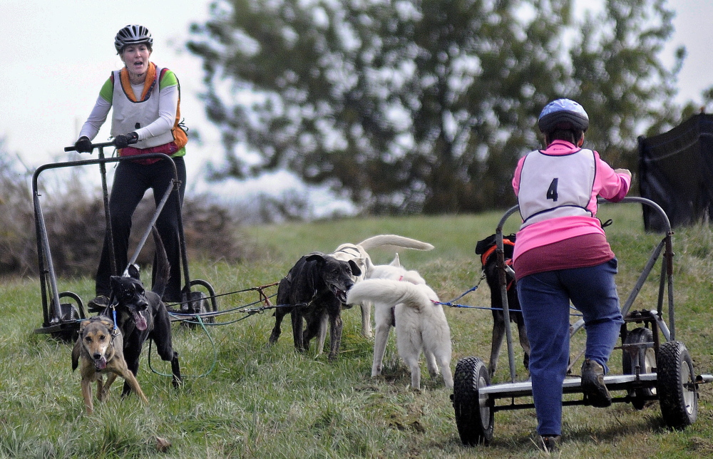 Amy de Wolski, left, guides her team of sled dogs Sunday around Laurie Schneider’s team at the Viles Arboretum in Augusta during the Highlands Sled Dog Club’s race.