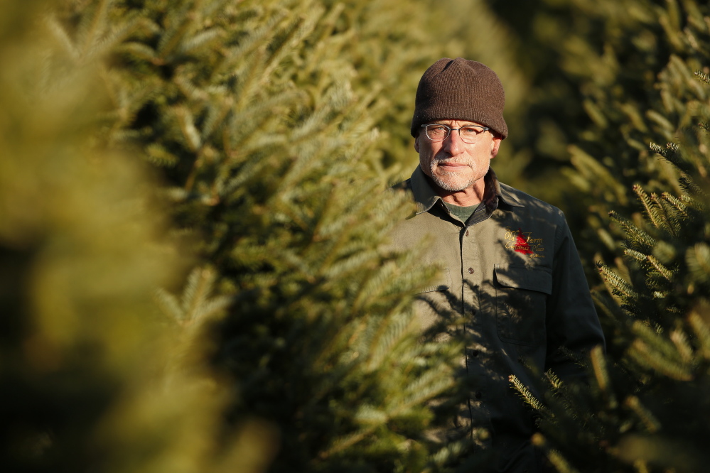 Cape Elizabeth Christmas tree farmer Jay Cox is among small business owners facing  a 13 percent hike in his Anthem insurance premiums that will take effect in January.