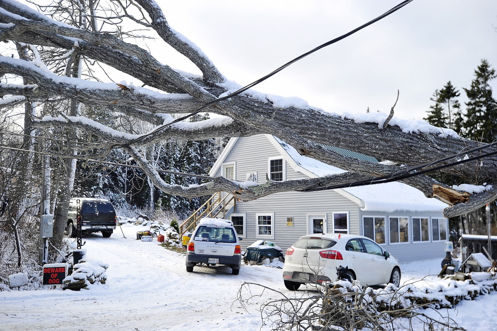 HARPSWELL, ME - NOVEMBER 28: A large tree, one of many, fell across power lines from the high winds and snow in the recent storm cutting off electricity to homes on Washburn Road in Harpswell. Residents await the tree and electrical crews that will repair the damage. (Photo by Gordon Chibroski/Staff Photographer)