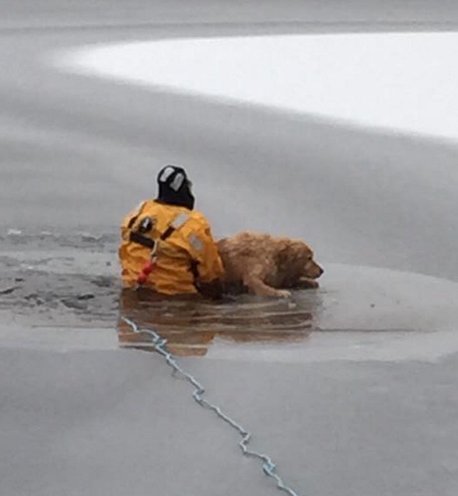 Dakota is pulled out of Little Ossipee Lake by Capt. Tom Langevin – known in the Waterboro Fire Department as Dr. Dolittle for his way with animals –  Wednesday morning.