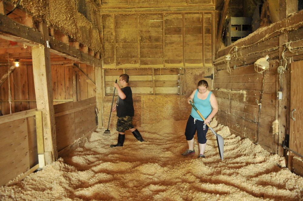 Emily Greaney, 17, right, spreads wood chips in the barn with the help of her brother Ben, 15, as they prepare to expand the turkey pen at the family farm in Mercer in September.