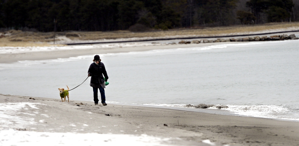 Francine O’Donnell of Portland takes a frigid walk along Pine Point Beach in Scarborough with her dog Grace on Monday afternoon. Warmer weather is expected to bring moisture with it today, with rain predicted along the coast and a foot or more of snow expected in the mountains.