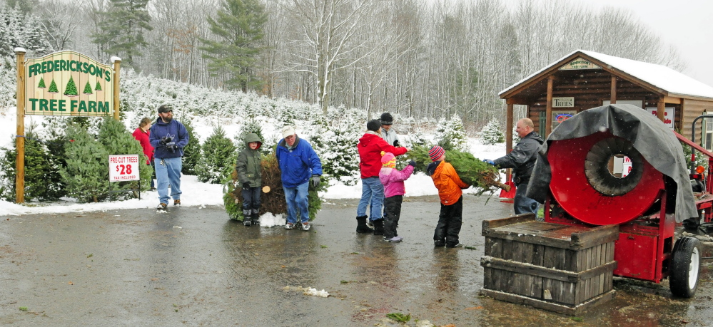 Customers bring trees they cut down into a shed to pay for them at Frederickson’s Tree Farm in Monmouth on Saturday.