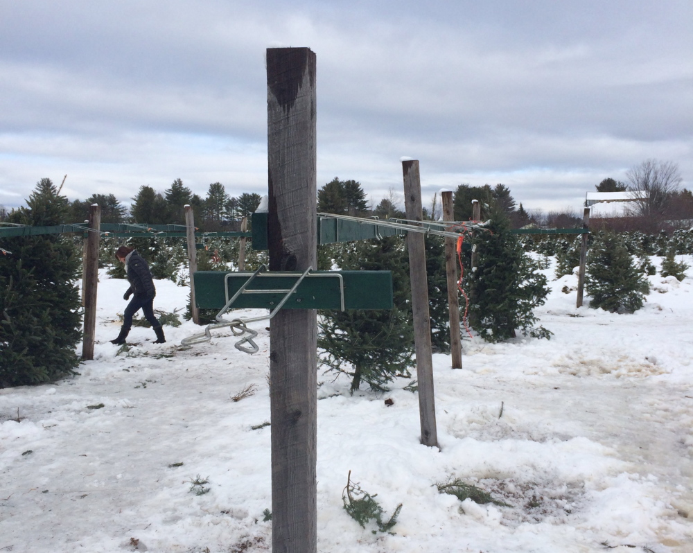 Some of the tree stands at Trees to Please in Norridgewock were empty Sunday morning. Owner Todd Murphy reported to police that about 13 trees were stolen overnight Saturday.
