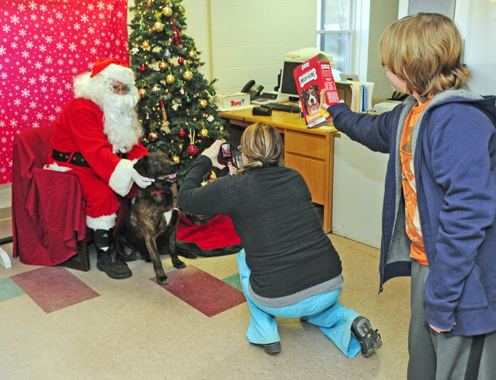 Donald Demeras, dressed as Santa Claus, poses with a Ashton, a shelter dog available for adoption, on Saturday while Amanda Thompson takes their photo at the Kennebec Valley Animal Shelter in Augusta. Ashton Glockler, 12, of Augusta, shakes a box of treats to try to get Ashton to keep looking up.