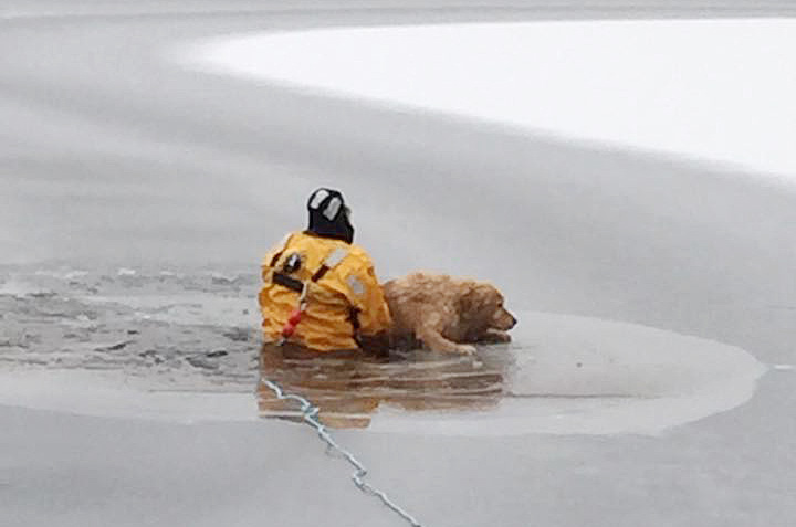 Capt. Tom Langevin of the Waterboro Fire Department helps Dakota get back up on the solid ice after the dog fell through into Little Ossipee Lake. Waterboro Fire Department photo