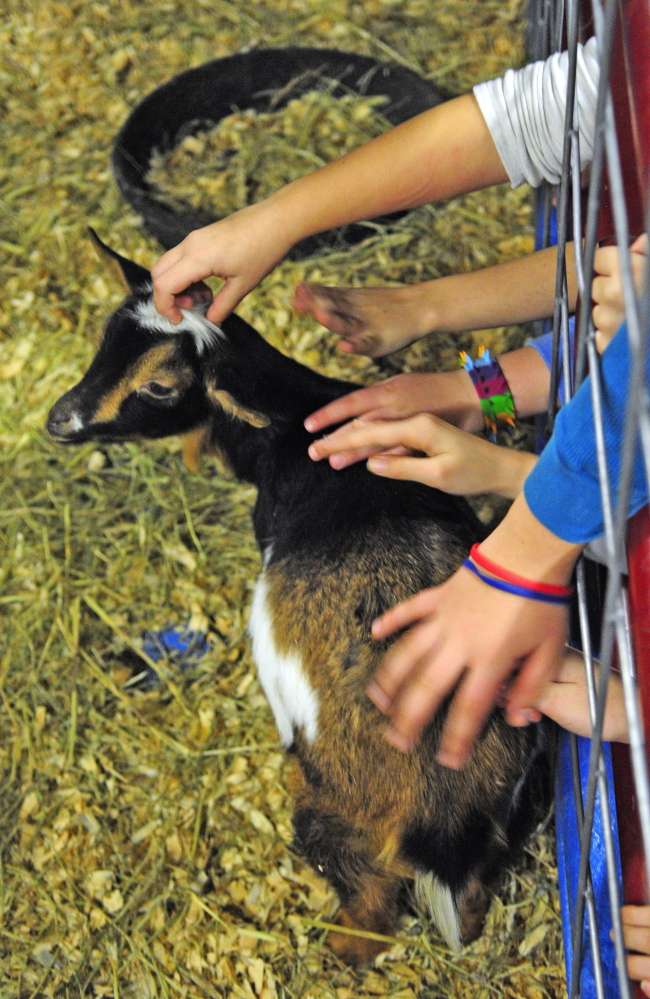 Schoolchildren reach out to pet a Nigerian dwarf goat Thursday during the 74th Annual Agricultural Trades Show at the Augusta Civic Center. Several goats from the Eliza-Rek Farm in Chelsea were on display at the show.