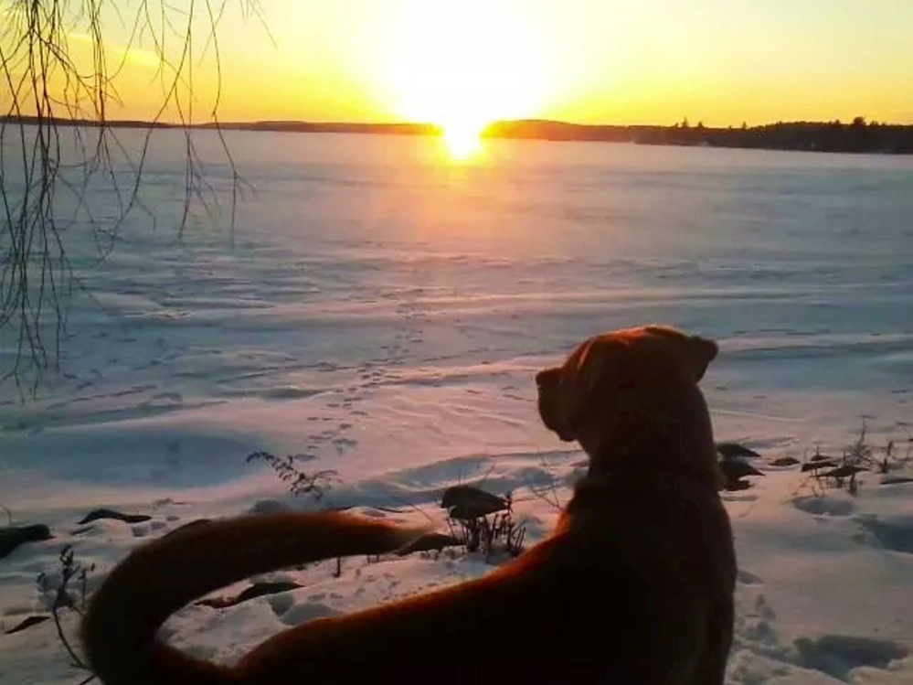 Fenton watching the sunset over Lake Cobbossee in Manchester.
