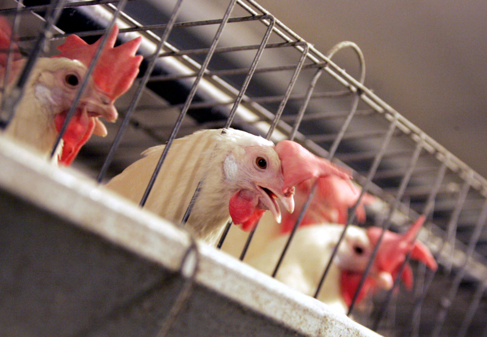California now requires farmers to house hens in cages with enough space to move around and stretch their wings, and farmers in other states who sell eggs in California have to follow the same requirements, likely driving egg prices up. The Associated Press