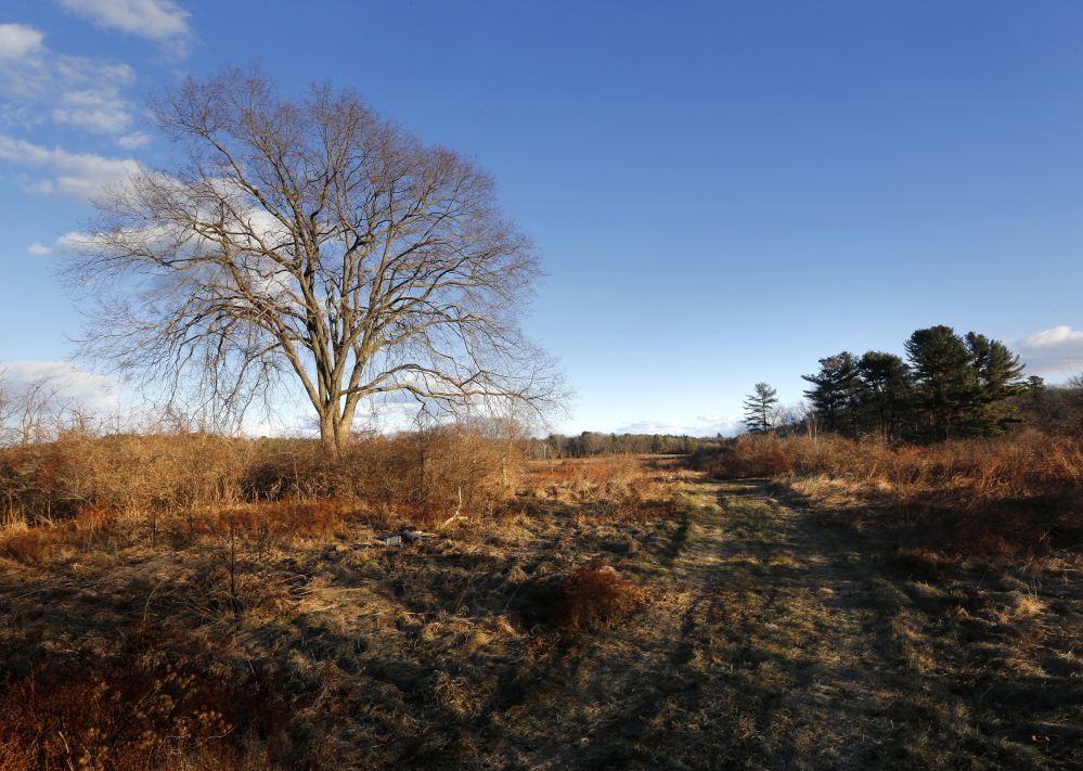 The 135-acre property on Pleasant Hill Road in Scarborough consists of fields, woods and wetlands. The property is located just two miles from Higgins Beach. Derek Davis/Staff Photographer