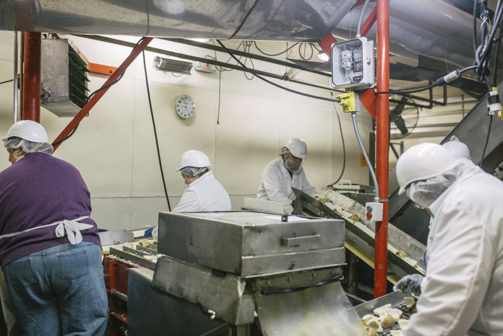 Workers process potatoes at Penobscot McCrum, a Belfast company that employs 250 people and exports 10 percent to 12 percent of its total sales. Whitney Hayward/Staff Photographer