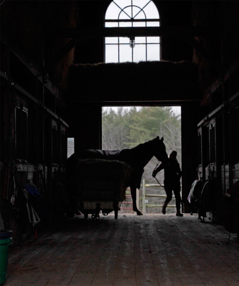 Sarah Armentrout, who founded Carlisle Academy with her husband, leads a horse into the barn in Lyman. “Because (the horses) are so big and carry you in this graceful, proud way, you do have that sense of pride when you’re riding them,” Armentrout said. Photos by Amelia Kunhardt/Staff Photographer