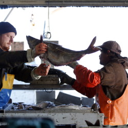 The New England Fishery Management Council held the last of a series of public hearings Wednesday on proposed changes to protections of fishing areas off New England. 2014 Associated Press file/Robert F. Bukaty