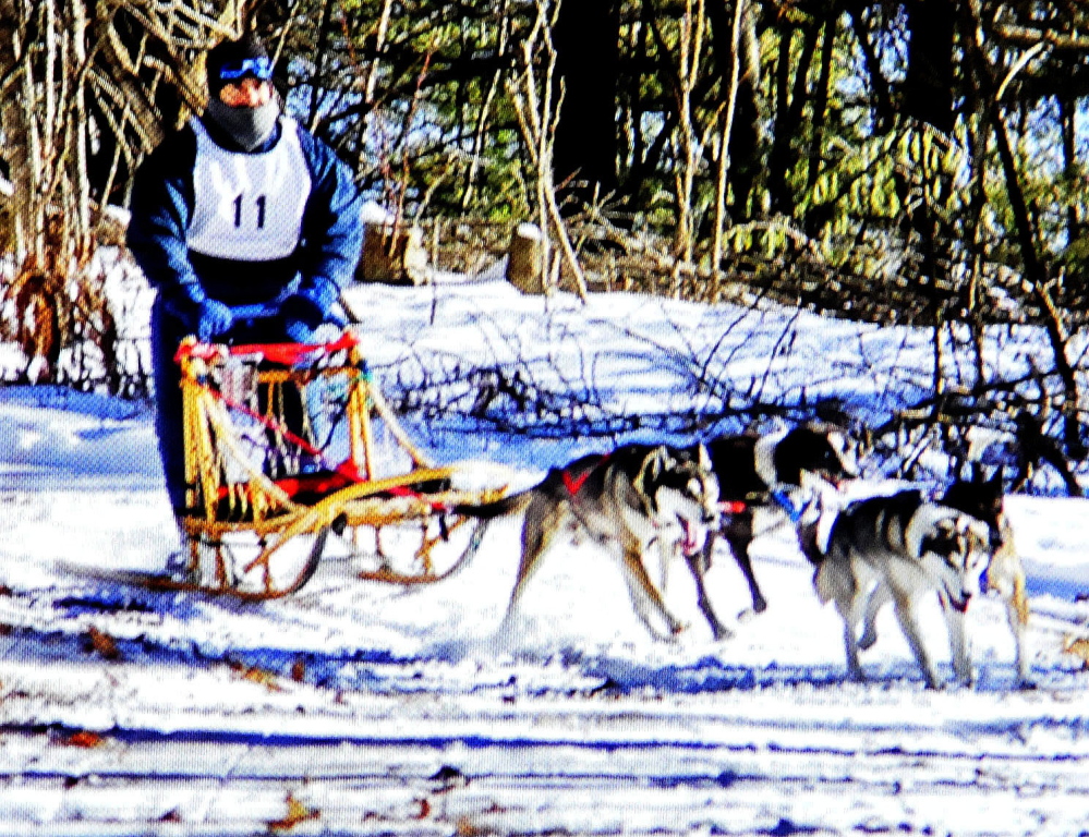 A photograph of a dogsled musher and team of dogs competing in a race in Alaska taken by Joe Albee of Vassalboro.