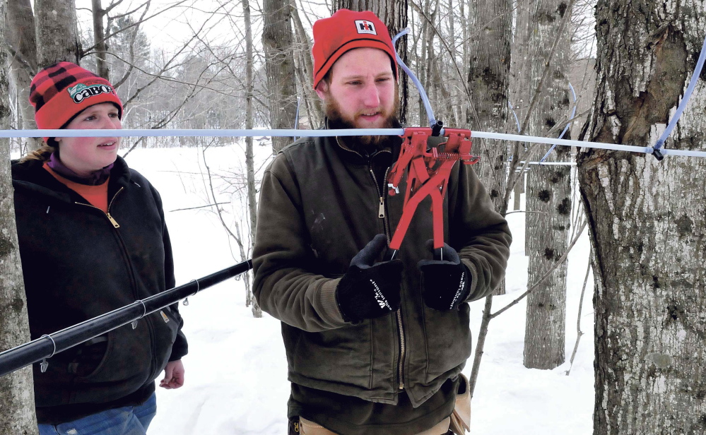 Andrew Miller of Battle Ridge Syrup in Clinton uses a tubing tool to crimp several maple sap tubes to a connector in the woods in Canaan. His partner, Caleigh Wright, watches. The couple said they hope their 320 taps produce sap on Monday as temperatures are expected to rise above freezing during the day this week.