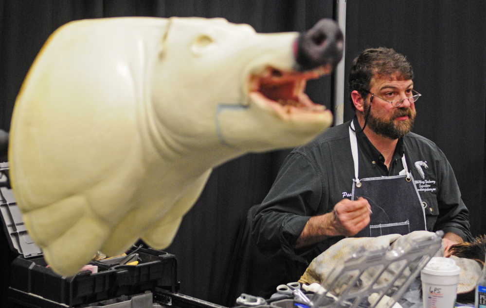 Paul Reynolds, of Wild Wings Taxidermy in Dayton, talks about taxidermy Friday during the Maine Sportsman’s Show at the Augusta Civic Center while sewing up holes in the fur from a wild boar that eventually will be mounted on a form, at left.