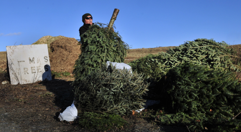 Joe Sanders tosses his Christmas tree onto the recycling pile in January at the Hatch Hill landfill in Augusta. The city landfill also is used by seven other municipalities, and the city is considering lowering those towns’ and cities’ per-capita fees if they agree to a five-year contract.