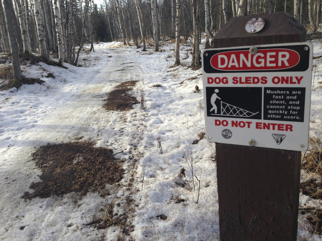 Bare patches of grass and mud on sled dog trails in Anchorage, Alaska. The Associated Press