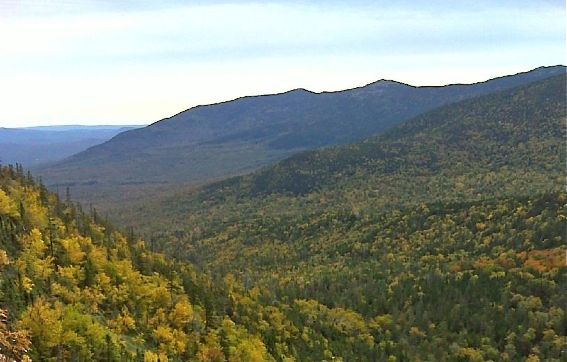 A view of part of the Crocker Mountain land reserve. The 12,046-acre area was acquired from Plum Creek Maine
Timberlands in June 2013 with the assistance of The Trust for Public Land, the town of
Carrabassett Valley, and numerous other contributors as the centerpiece of
the Crocker Mountain Conservation Project. Bureau of Parks and Lands photo