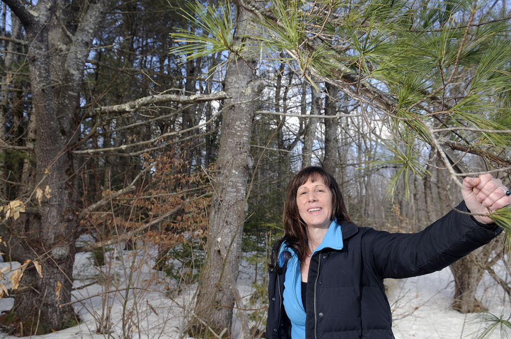 Martha Manchester stands on the land she owns in Whitefield that she’s planning to give away with an essay contest. The Edgecomb resident said she hopes to earn more money for the 47-acre lot through the entry fees for the contest.