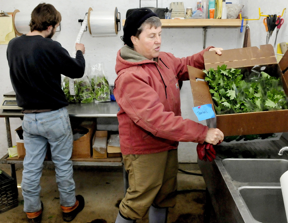 Blue Ribbon Farm employee Conrad Welcome weighs bags of spinach as owner Mary Burr carries a box full of fresh kale grown at the Mercer farm on Wednesday.