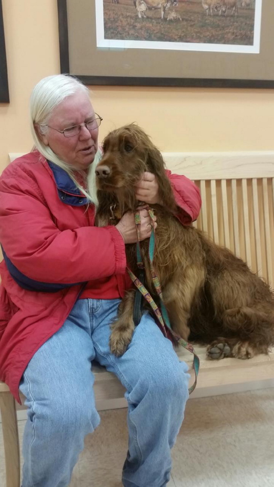 Keeli, a 2-year-old Irish setter rescued Friday morning from the Kennebec River off a Benton hiking trail by Winslow firefighters, sits with her owner, Gail Bacheller, at Hometown Veterinary Care in Fairfield Friday morning.