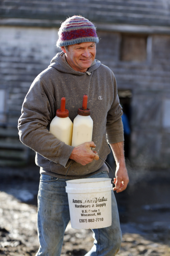 Lee Straw carries fresh milk in nursing bottles as he makes his way to a barn to feed calves at his farm in Newcastle, Maine. The state’s dairy farmers are divided over an upcoming potential vote on a statewide proposal that could change restrictions on raw milk sales. At issue is whether dairy farmers should be allowed to sell raw milk directly to consumers without a license.
