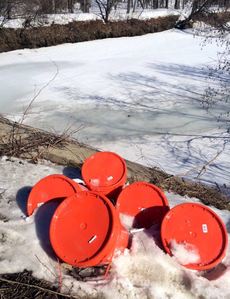 Five-gallon buckets, reportedly filled with used dirty diapers, have been dumped along streams in Wilton and in Farmington over the past couple months.