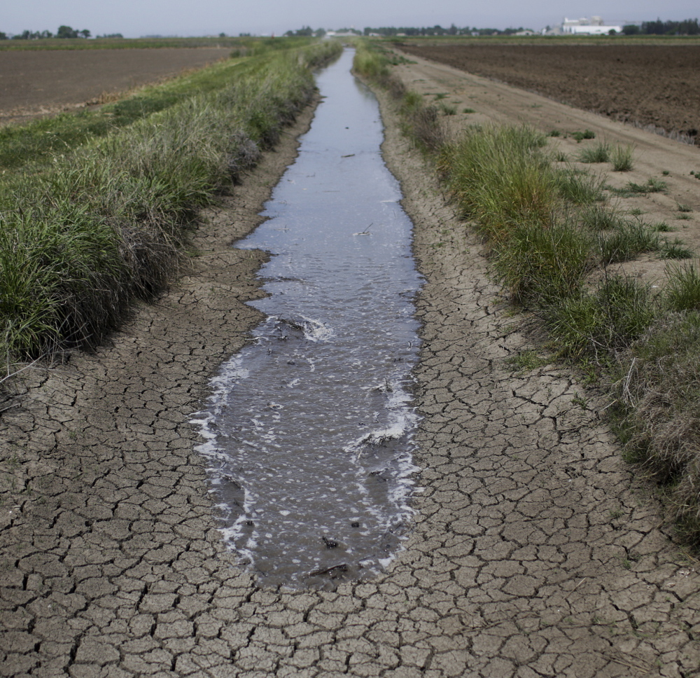 An irrigation ditch running between rice farms in Richvale, Calif., contains very little water. The drought in that state has been worsening.