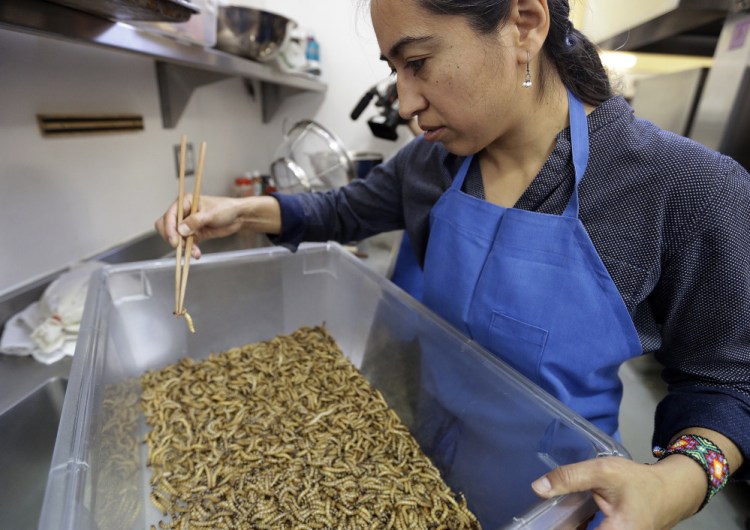 Monica Martinez sorts live mealworms before baking them in San Francisco.
