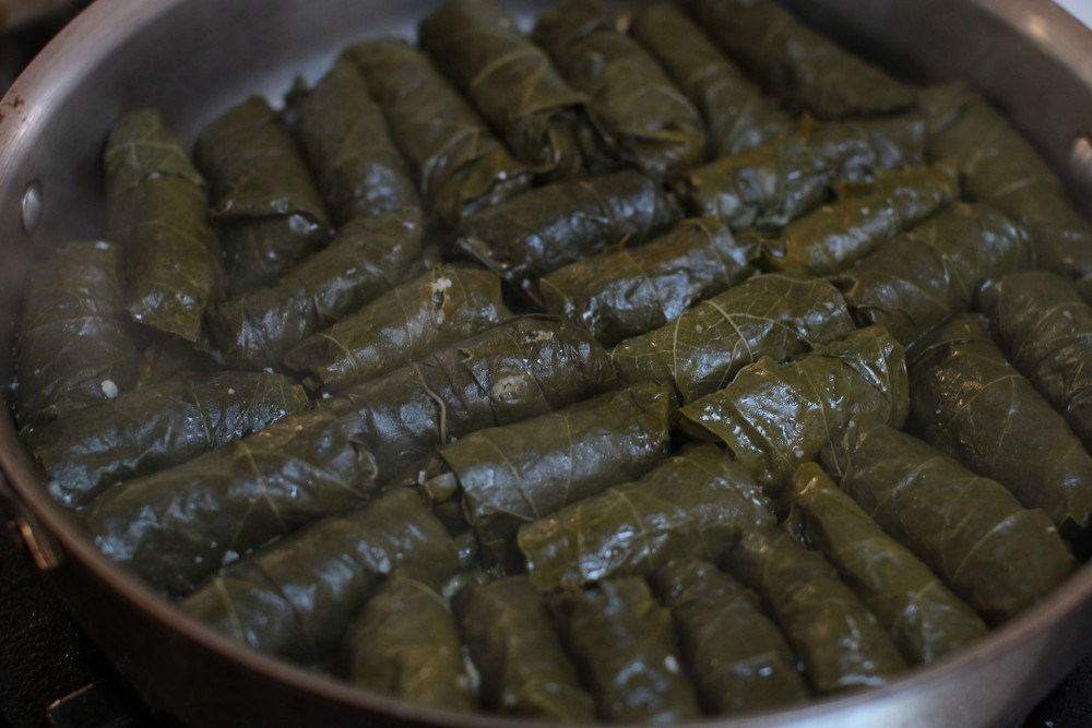 Stuffed grape leaves are cooked in a skillet.