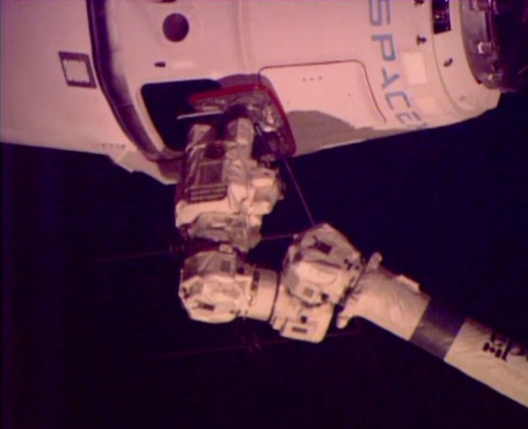 A robotic arm from the space station connects with the SpaceX Dragon freighter with its delivery of groceries, equipment and experiments. Photo courtesy of NASA TV