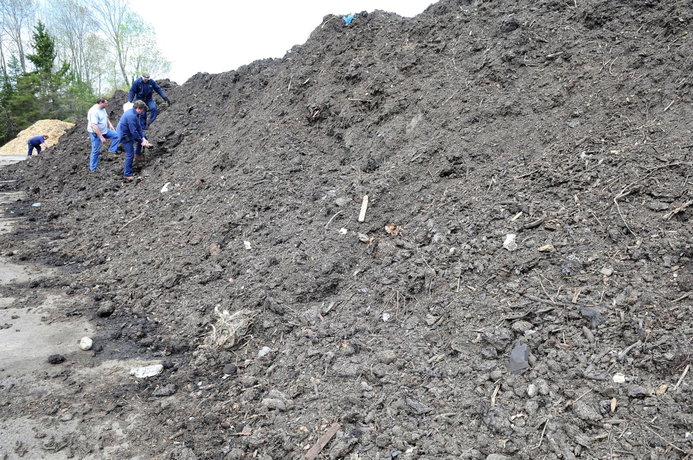 Employees at the Skowhegan Regional Recycling Center pick out unwanted items from a large compost pile on Wednesday. From left are Al White, Wayne Householder, Steve Foss and Clyde Merrill in front.