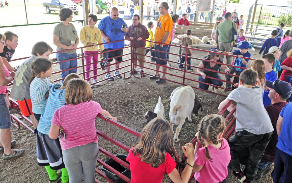 Visitors watch a goat and a pair of kids during the Northeast Livestock Expo on Friday at the Windsor Fairgrounds.