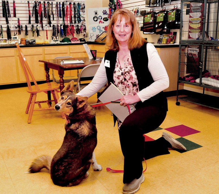 Lisa Smith, the new executive director of the Humane Society Waterville Area, is seen at the shelter on Wednesday.