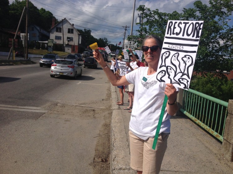 Tina Wood of Gardiner rings a cowbell at cars driving on Bridge Street Friday during a demonstration to raise awareness about alewives being unable to swim up Cobbossee Stream to spawn.