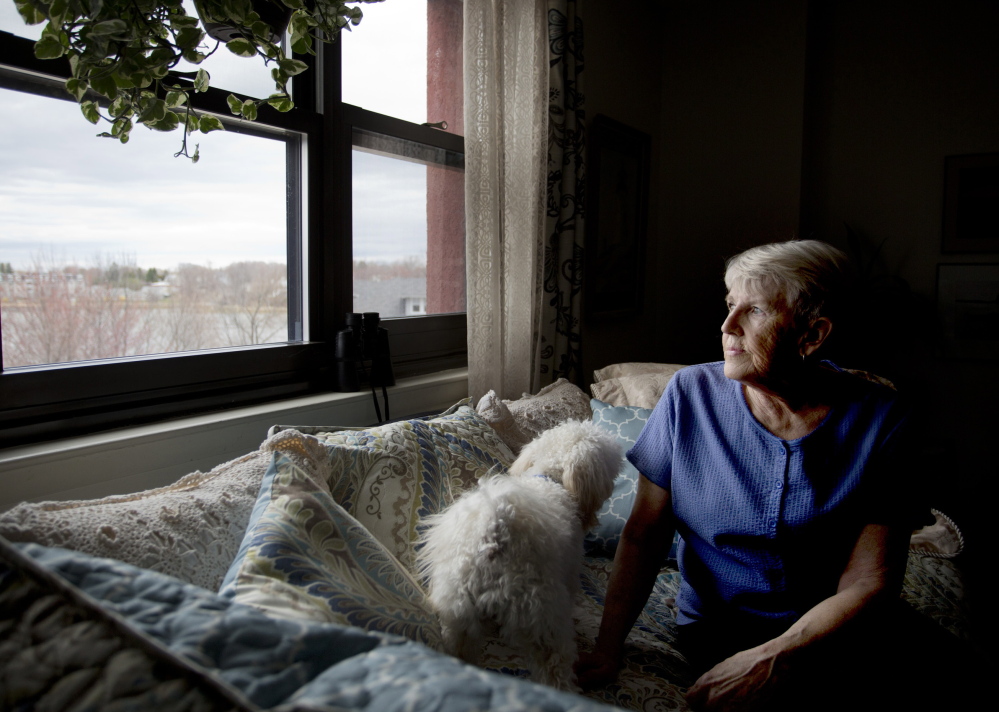 Jane Croston, a resident commissioner of the South Portland Housing Authority, spends time in her apartment at 425 Broadway with her dog, Brady. She says the behaviors of some young adults in the building are unsettling to seniors. 