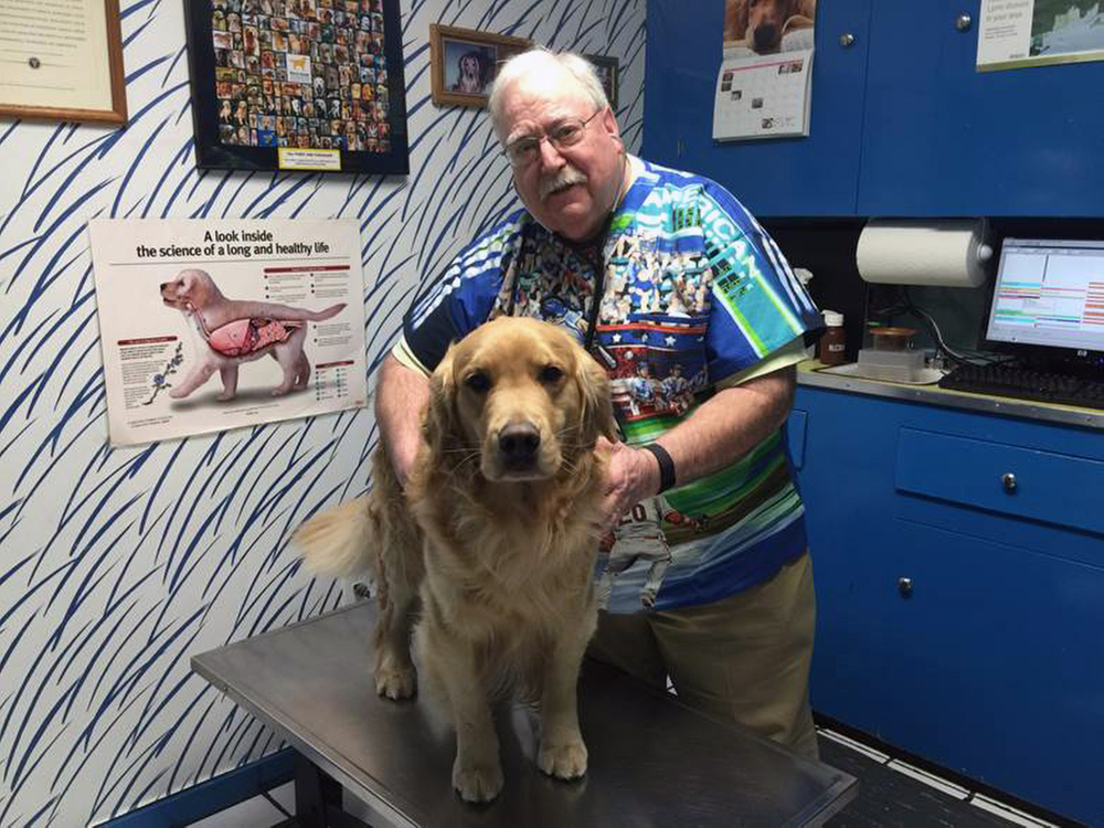 Dr. Michael Lappin examines his golden retriever, Isaac, at The Animal House, Lappin’s office in Buzzards Bay, Mass. Isaac is No. 64 in the cancer study.