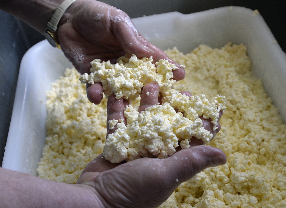 Karen Trenholm inspects cheese curds at Wholesome Holmstead in Winthrop.