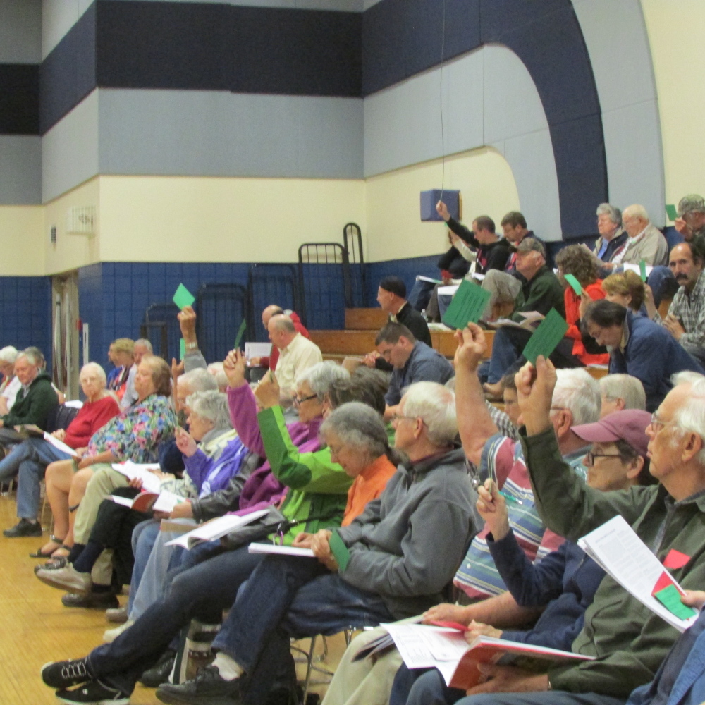 Vassalboro residents vote to approve a budget article at the annual town meeting at Vassalboro Community School on Monday evening.