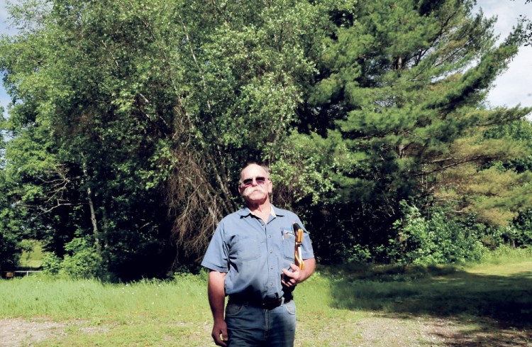John Webster stands on Wednesday in a wooded section off Davis Farm Road in Solon, where he plans to build his Enviro Wood Briquette company, which will manufacture wood bricks to heat homes.