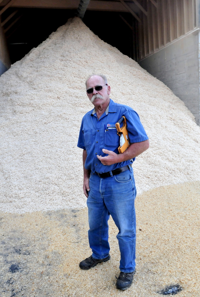 Enviro Wood Briquette company owner John Webster stands beside a sawdust building on Wednesday at the Kennebec Lumber company in Solon. Webster plans to build a facility nearby that will use the sawdust to make wood bricks to burn in wood stoves.