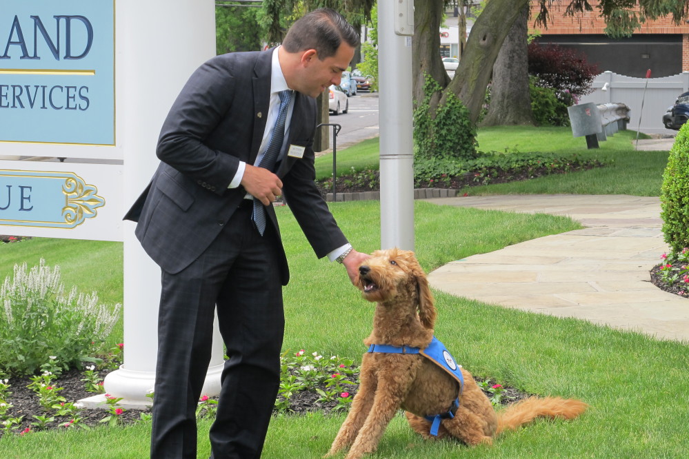 Matthew Fiorillo, owner of the Ballard-Durand funeral home in White Plains, N.Y., plays with his dog Lulu on the funeral home’s lawn on Thursday.