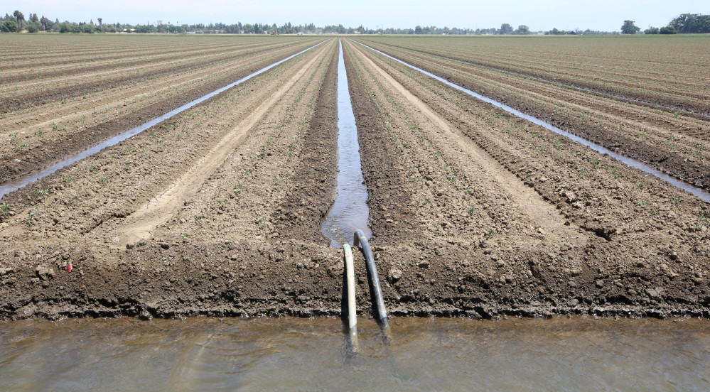Farms like this one in Dixon, Calif., are tapping the Central Valley Aquifer to irrigate crops during the state’s record-breaking drought. Studies say the aquifer is the most troubled in the United States.